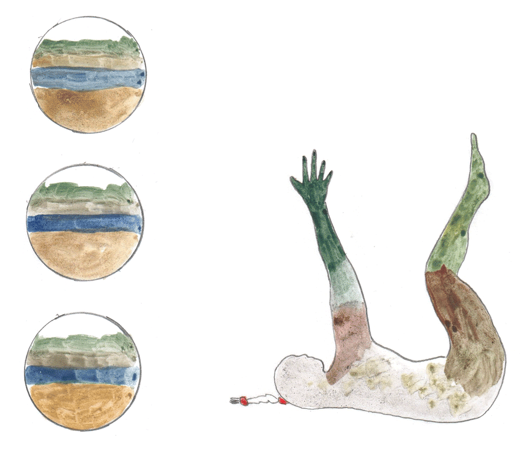 Aidan Koch on the ecologies of comics and fine art